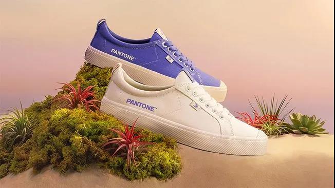 22年度流行色 长春花蓝它有点紫还有点仙 莱佛士设计学院的博客 Csdn博客