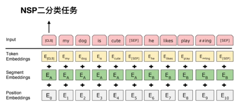 Bert input representation