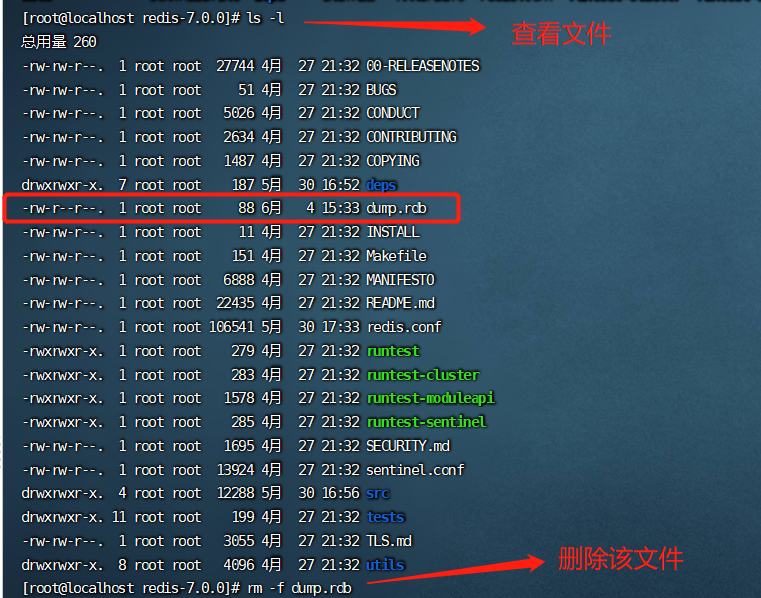 RDB中的dump.rdb