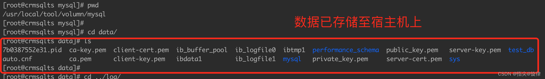 八、Docker 安装Mysql（流程、注意点、实例）