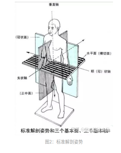 关于核磁共振图像的命名原则及含义