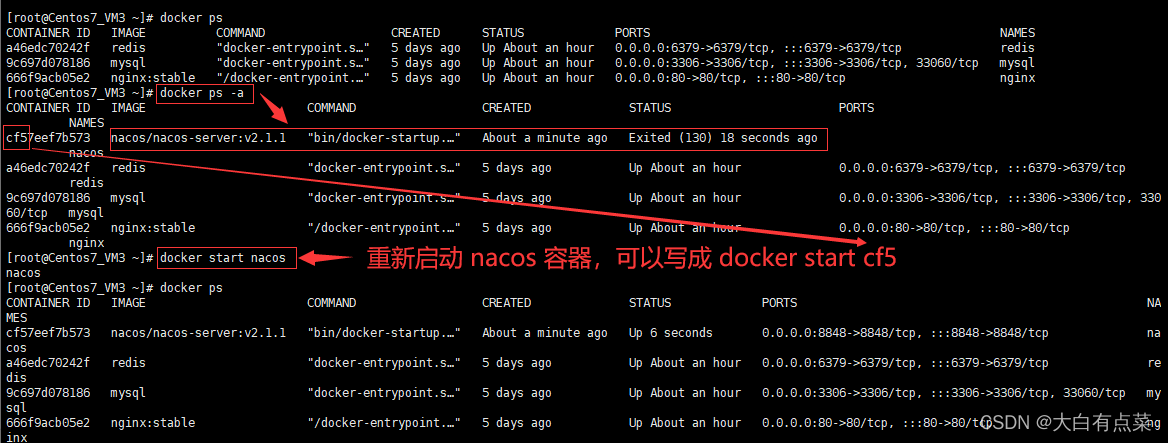 命令 docker ps -a 查看所有容器的运行状态（包含正在运行的和停止的），重新启动Nacos Server容器