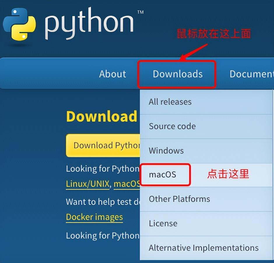 20天零基础自学Python | 安装Python_0基础学python 安装-CSDN博客