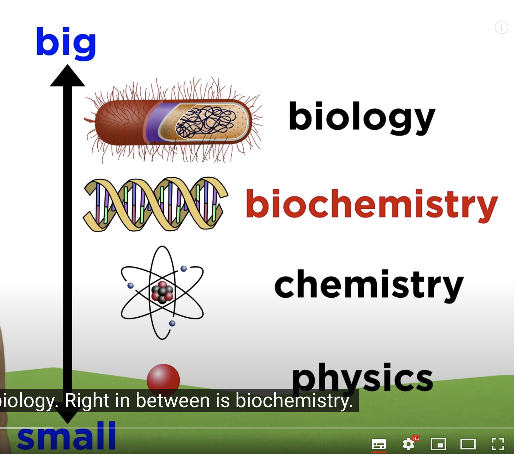 20230419 生物基础学习- 氨基酸-密码子-突变