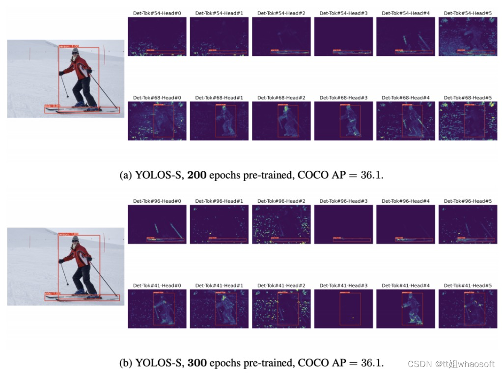 YOLOS