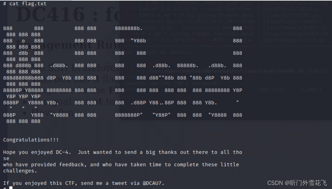 vulnhub DC：4渗透笔记
