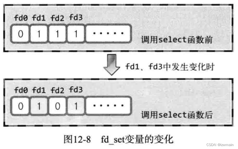 12.I/O复用