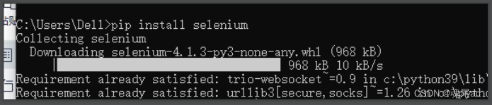 新版selenium4.0 + Python使用详解