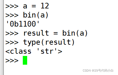 借助bin( )来将十进制数转换为二进制数，并借助result来对转换后的二进制数赋值，查看其类型