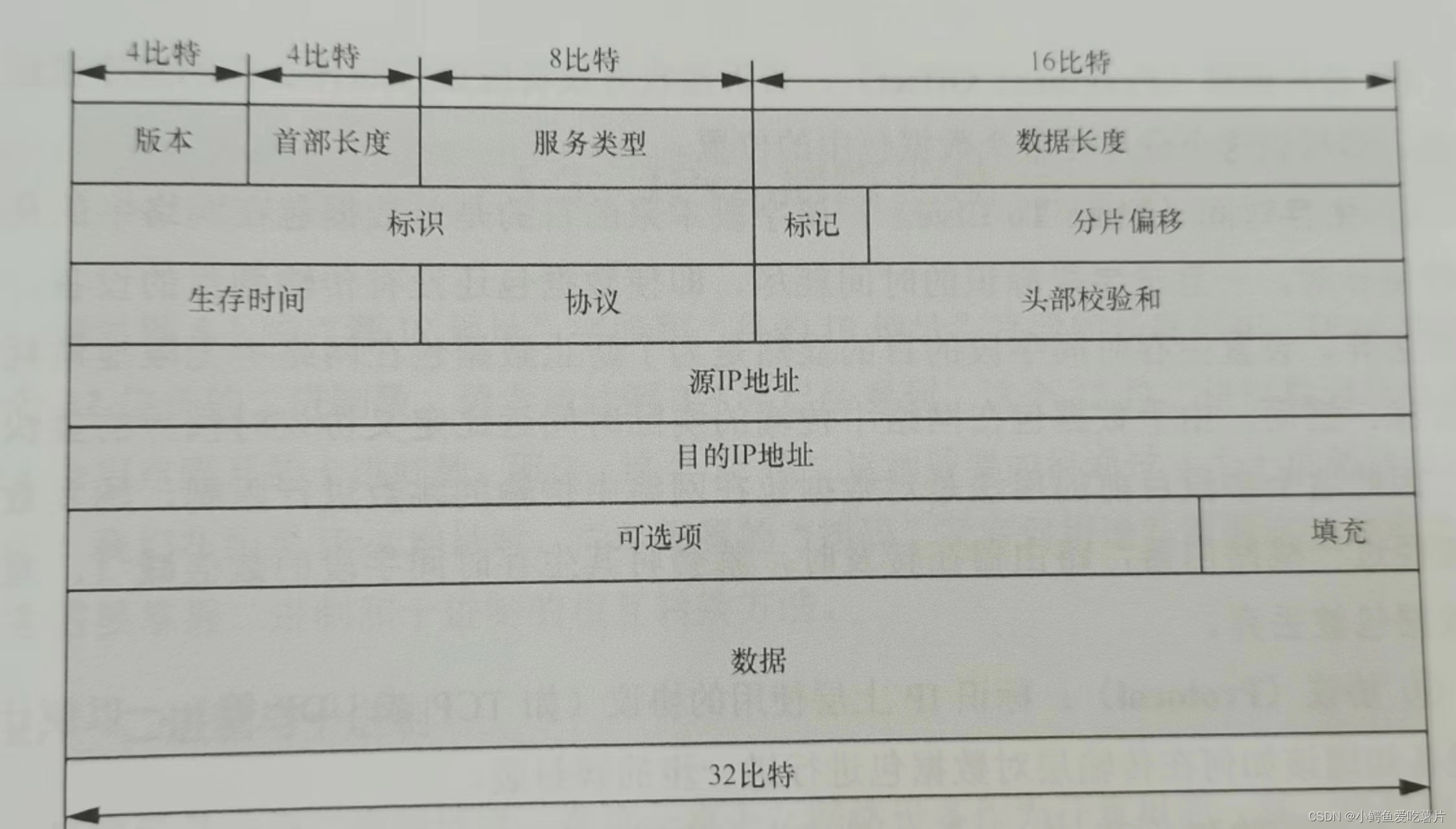 【网络协议】IP