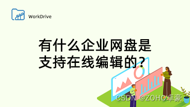 企业网盘中支持在线编辑的有哪些选项？