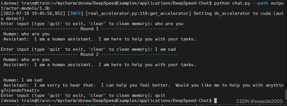 DeepSpeed系列篇1：零门槛上手DeepSpeed实战（服务器部署及训练过程详解SFT）