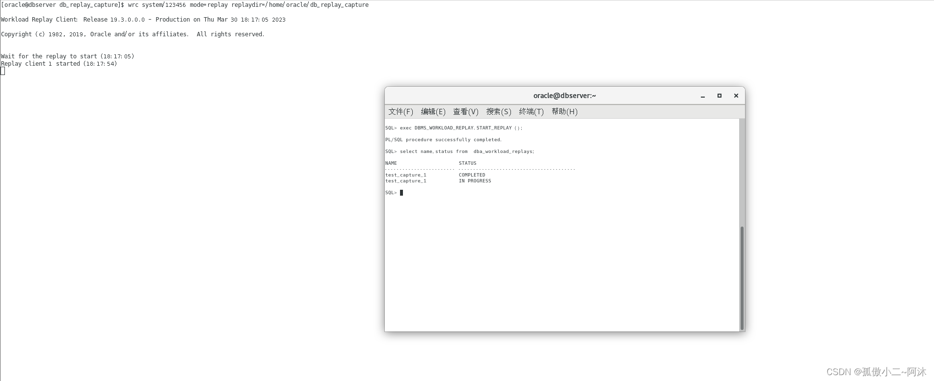 Oracle的学习心得和知识总结（十六）|Oracle数据库Real Application Testing之Database Reply的内部变化逻辑