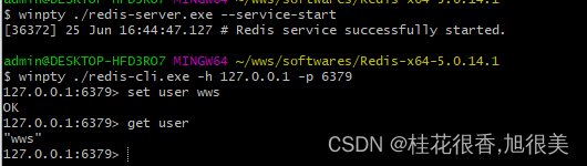 Windows 10 安装 Redis