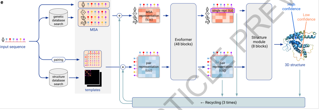 AlphaFold2 Model architecture.