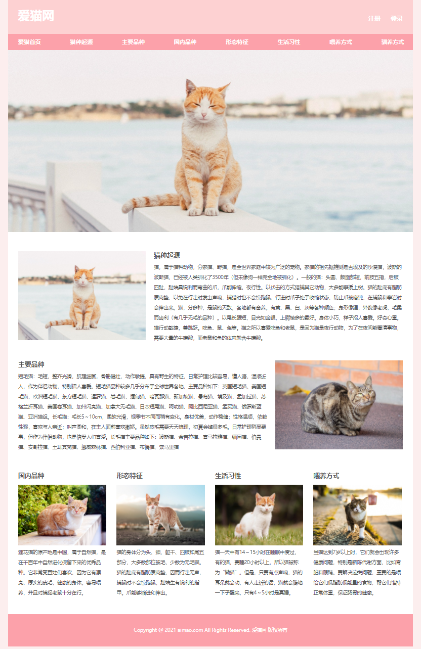 html5 css期末大作业:宠物网站设计——宠物猫(10页) div css宠物网页