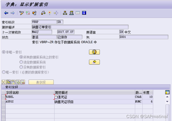 SAP 主索引和二级索引