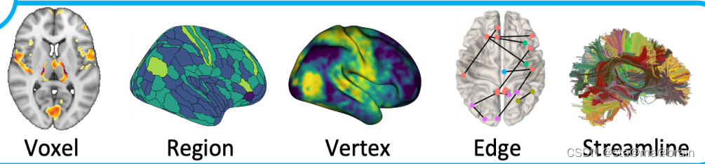 神经影像脑网络图、brain map可视化汇总