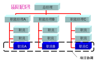 弱矩阵组织结构图图片