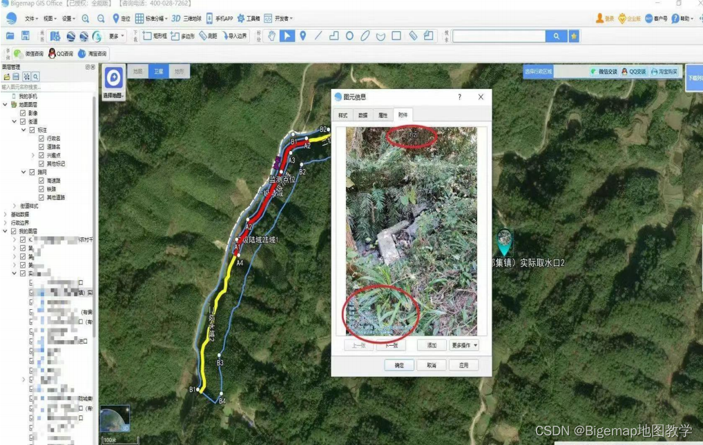 Bigemap 在水土生态环境行业中的应用