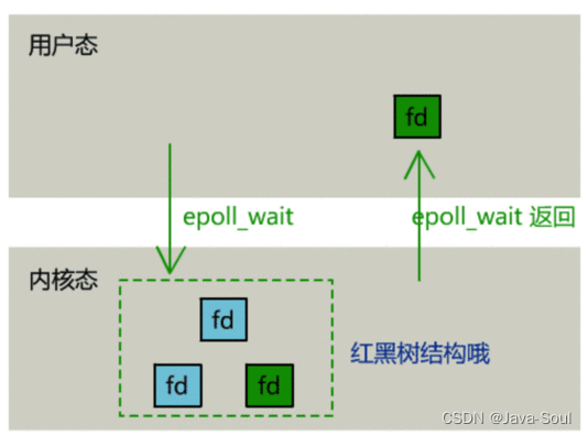 网络模型与 IO 多路复用