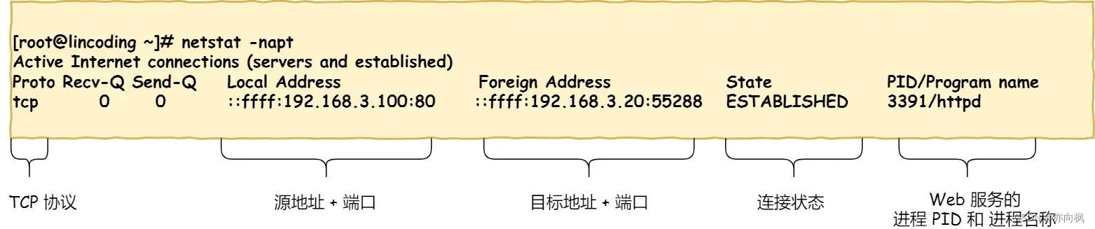 TCP 连接状态查看