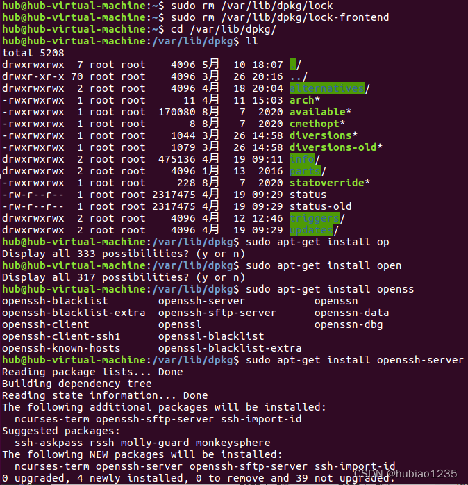 sudo apt upgrade unable to acquire dpkg lock