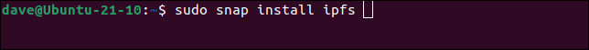 sudo snap install ipfs