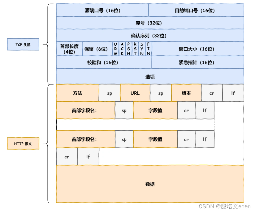 计算机网络基础 各个分层功能，当键入网址后，到网页显示，其间发生了什么,Linux 系统是如何收发网络包的？