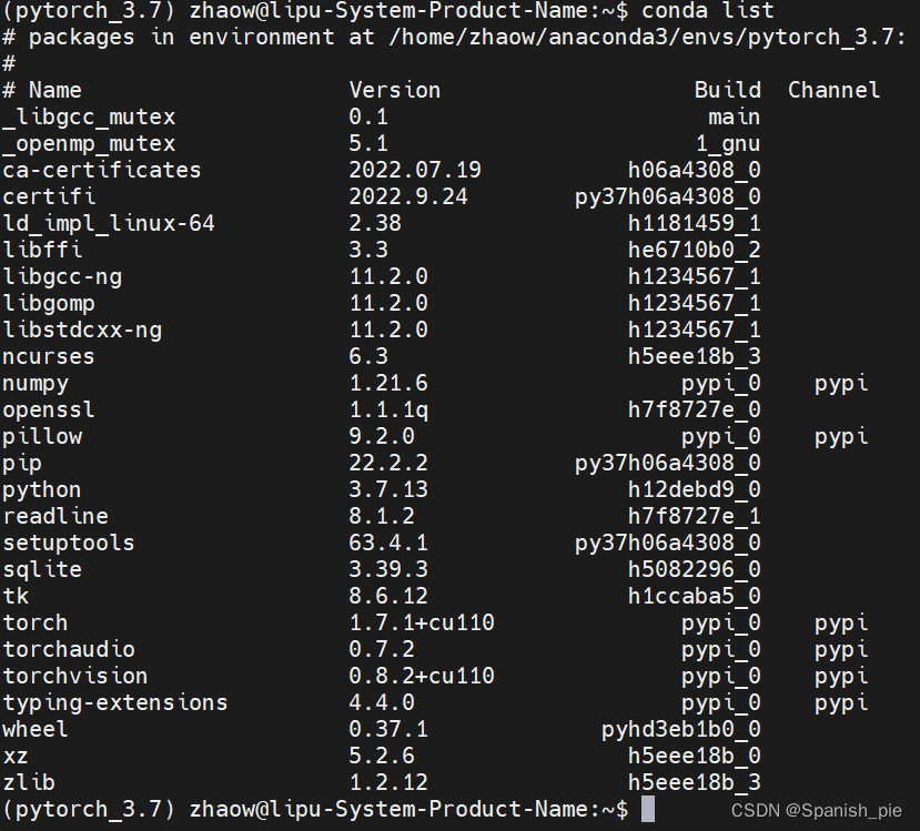 服务器Linux系统安装pytorch配置环境