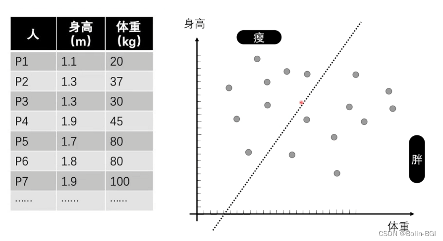 身高体重数据