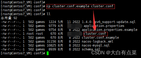在 nacos/conf 目录下，将 cluster.conf.example 复制并重命名为 cluster.conf