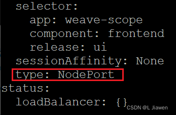 NodePort