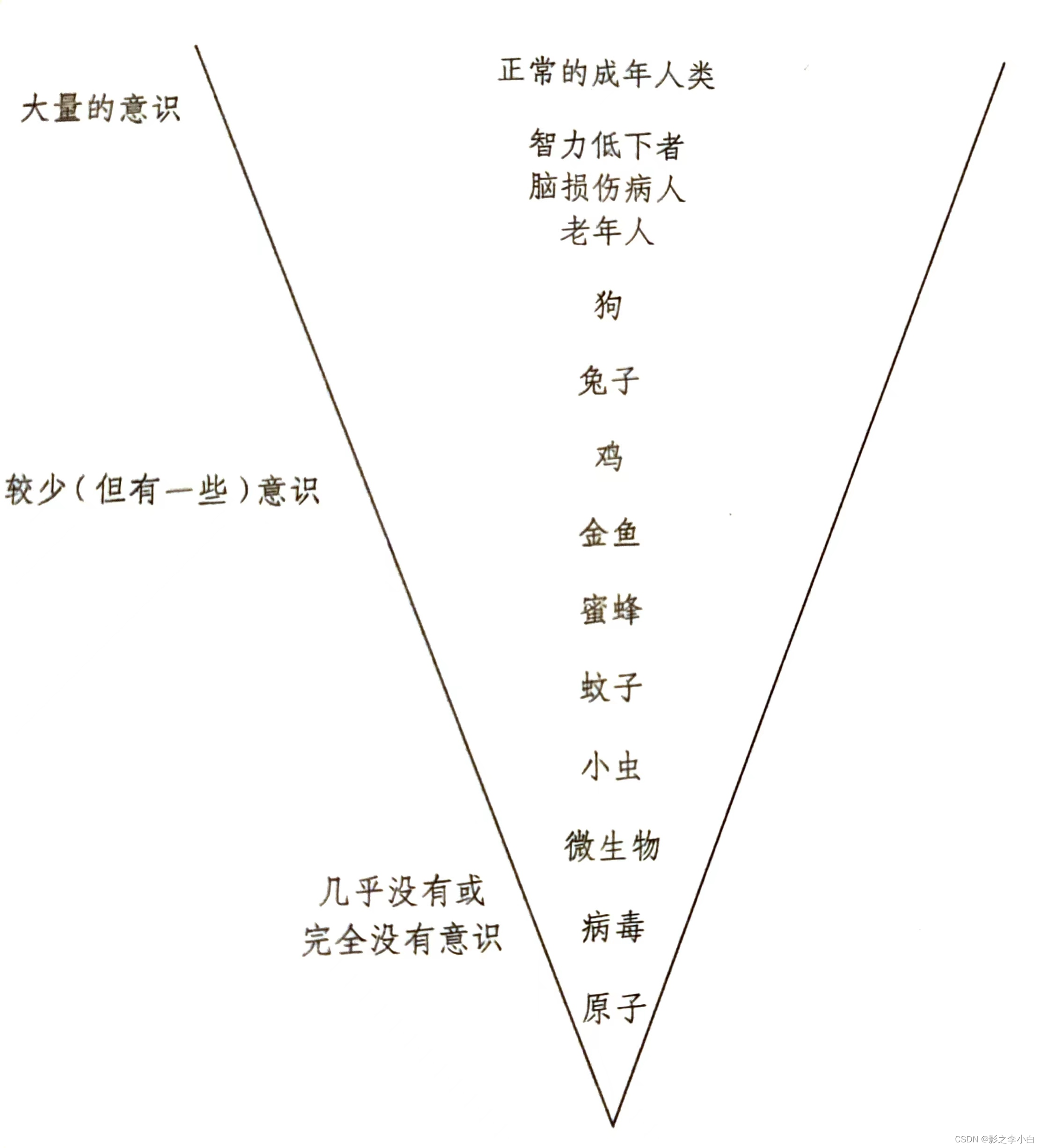 《我是个怪圈》读书笔记