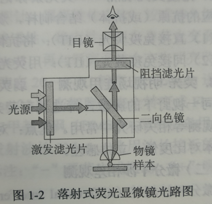 宝石显微镜的照明方式图片