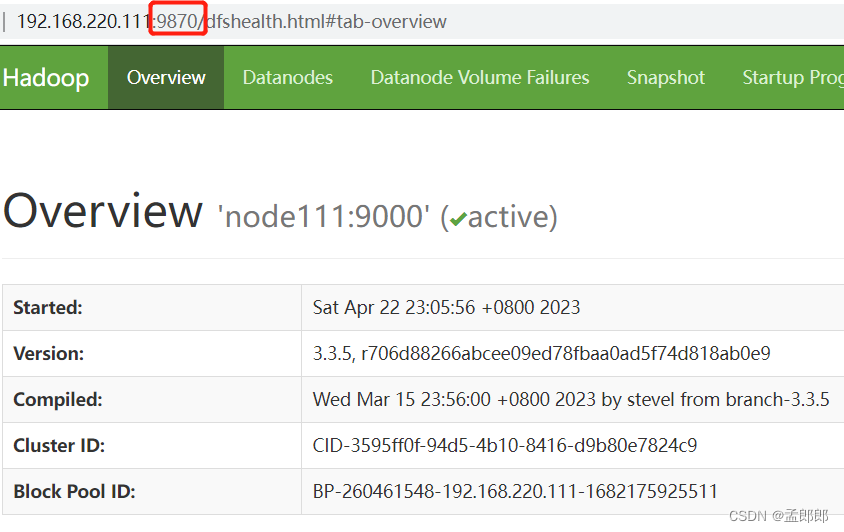 大数据学习初级入门教程（十六） —— Hadoop 3.x 完全分布式集群的安装、启动和测试