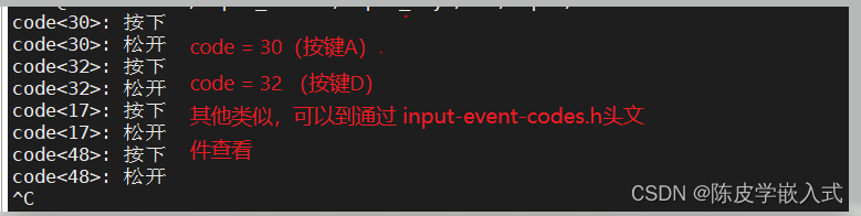 Linux输入设备应用编程（键盘，按键）