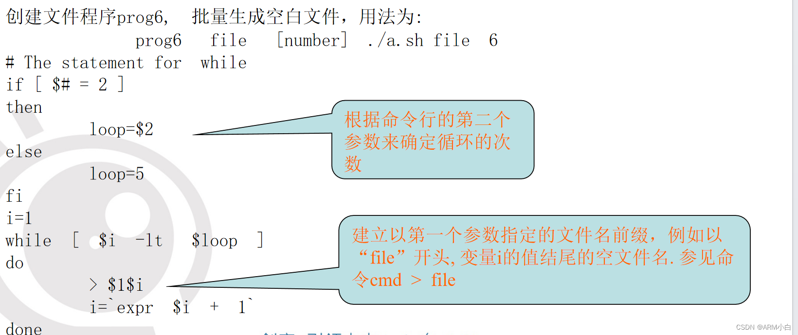 12.shell脚本编程-CSDN博客