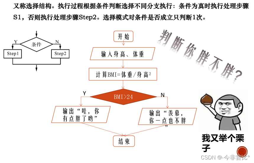 Java基础篇_1.4——程序流程控制之选择结构if语句