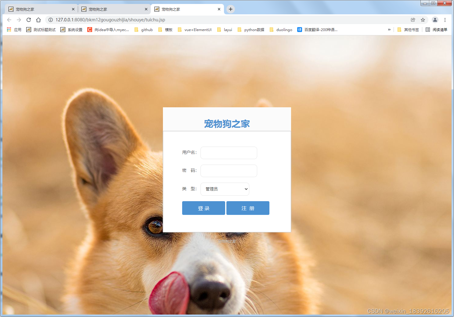 宠物狗之家