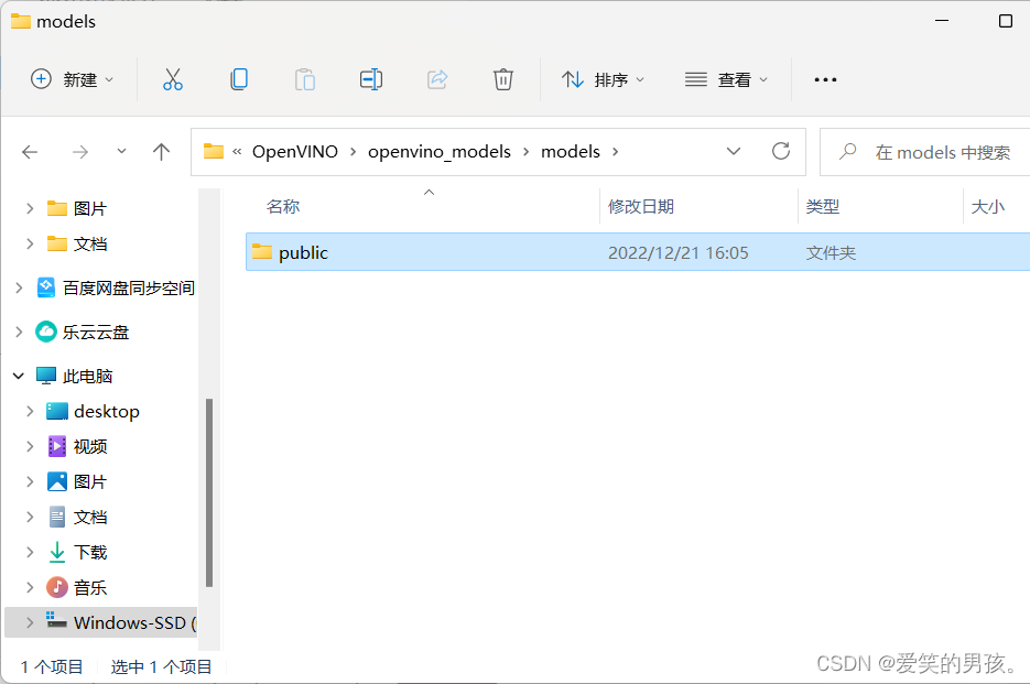 Windows OpenVino安装squeezenet1.1失败 —— 已解决