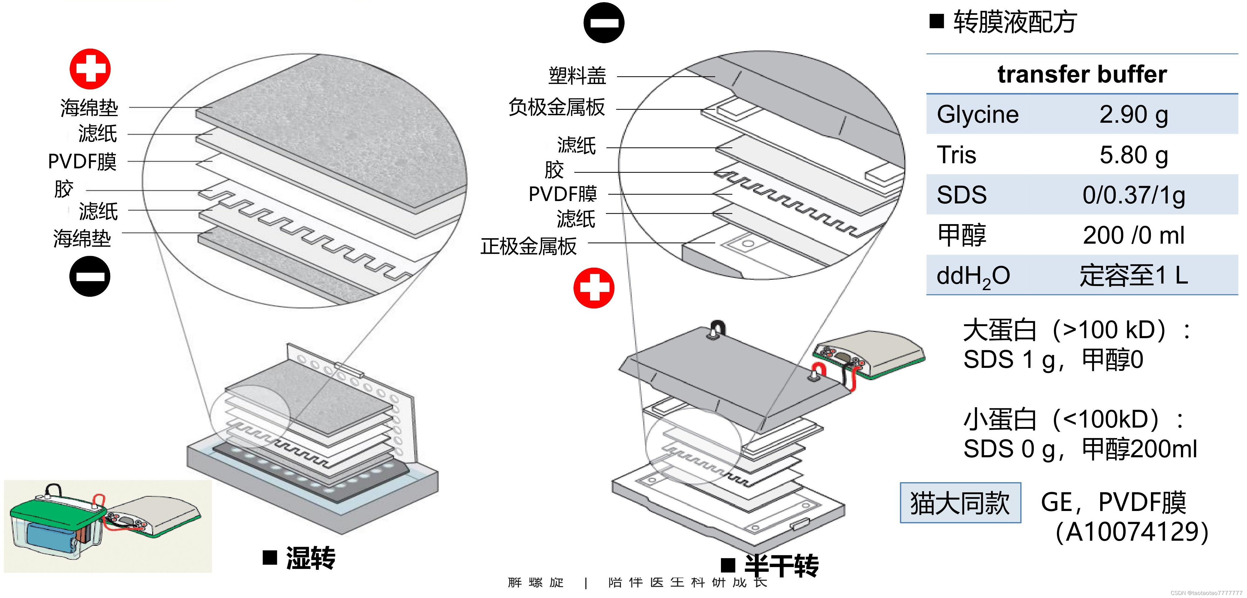 ここに画像の説明を挿入