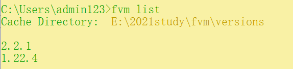 fvm list