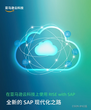 RISE with SAP，亚马逊云科技开启全新的SAP现代化之路