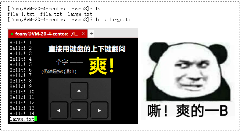 【看表情包学Linux】(3) man 手册 | 复制文件或目录 | 移动文件和重命名操作 | 查看目标文件内容_linux如何将选定man ...
