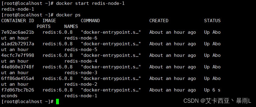 重新启动redis-node-1