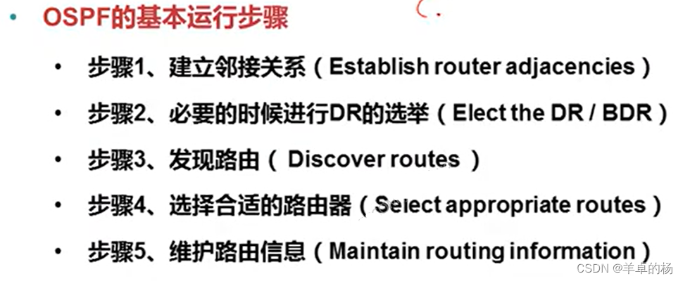 OSPF的基本运行步骤