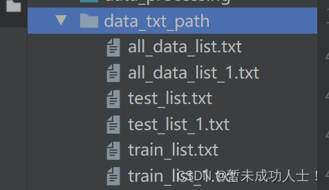 深度学习制作自己的数据集—为数据集打上标签保存为txt文件，并进行划分和加载数据集