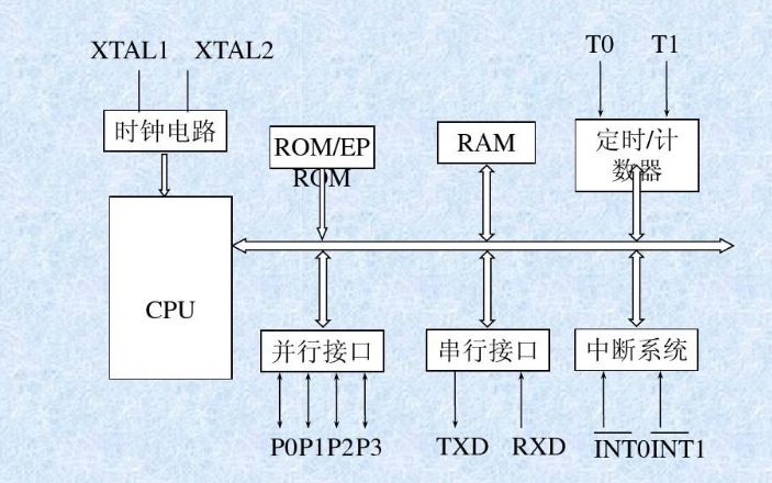 内部结构