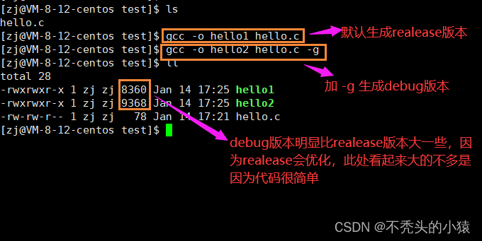 Linux---gdb调试方法_gdb 二进制显示-CSDN博客